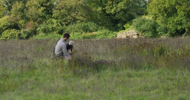 Aigle prenant de la viande de son manipulateur — Video