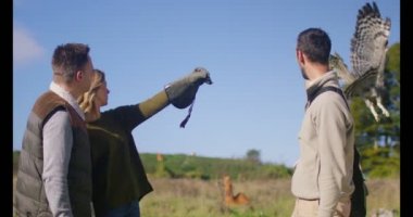 baykuş uçuş eldiven alır 