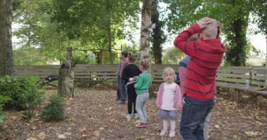 Gri bir baykuş uçuş alır gibi kulak