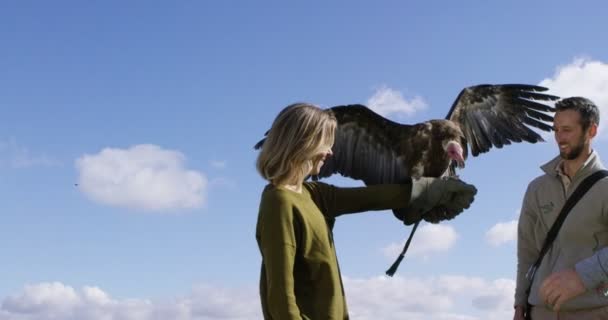 Gier gaat om het land op de handschoen van een bezoek — Stockvideo