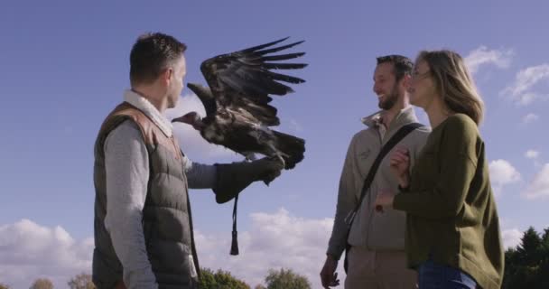 Vulture prend son envol du gant — Video