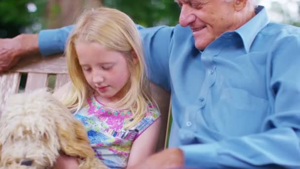 Abuelo y nieta con perro — Vídeos de Stock