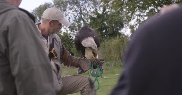 Visitantes aprendiendo sobre un águila calva — Vídeo de stock