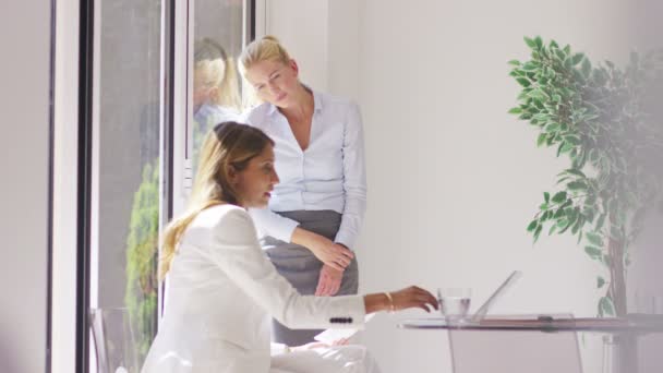 Businesswomen working in office — Stock Video