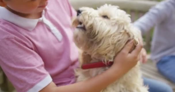 Niño y niña jugando con el perro — Vídeo de stock