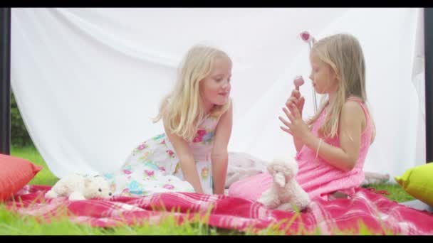 Meninas fazendo uma festa de chá com brinquedos — Vídeo de Stock