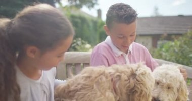erkek ve kız köpeklerle oynuyor