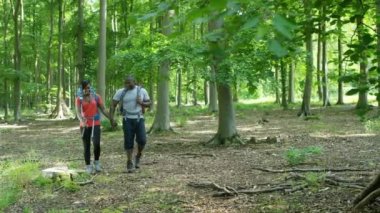 Çift ormanda hiking