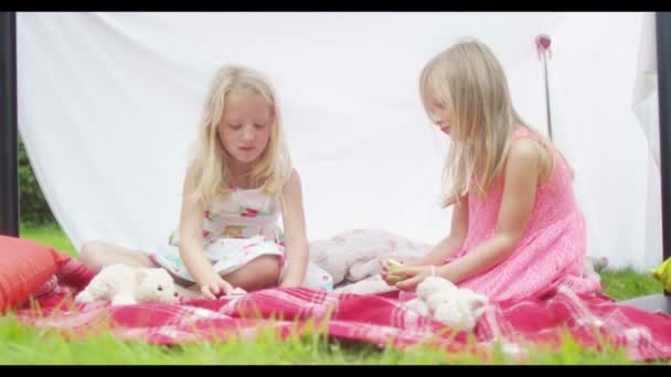 Meninas fazendo uma festa de chá com brinquedos — Vídeo de Stock