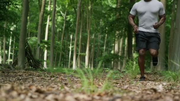 Hombre va a correr en el bosque — Vídeo de stock