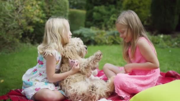 Κορίτσια να παίζουν με το σκύλο — Αρχείο Βίντεο