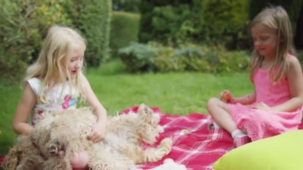 Niñas jugando con perro — Vídeos de Stock