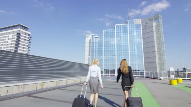 Businesswomen walking with luggage at airport — Stock Video