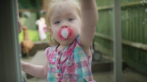 Malá holka úklid okno — Stock video