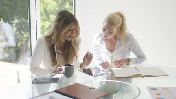 Vrouwelijke ondernemers werken in office — Stockvideo