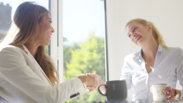 Le donne d'affari si stringono la mano — Video Stock