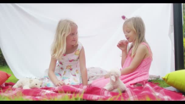 Meninas fazendo uma festa de chá com brinquedos — Vídeo de Stock