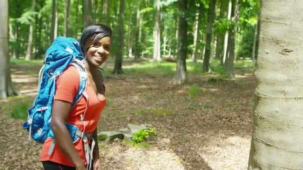 Woman hiking in the woods — Stock Video