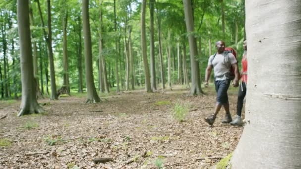 Wandelen in het bos (echt) paar — Stockvideo