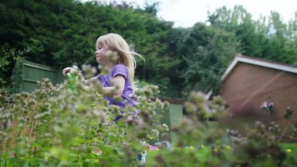 Девочки поливают растения — стоковое видео