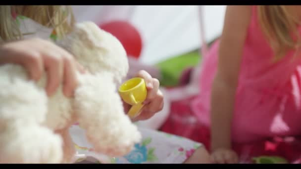 Meninas fazendo uma festa de chá com brinquedos — Vídeo de Stock