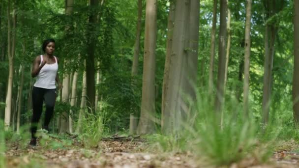 Vrouw gaat voor een run in het bos — Stockvideo