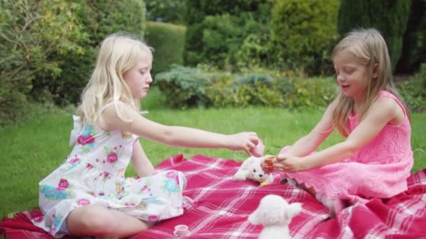 Meninas fazendo uma festa de chá com brinquedos — Vídeo de Stock