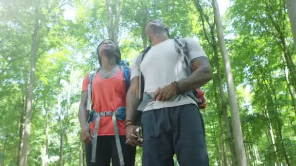 Couple randonnée dans les bois — Video