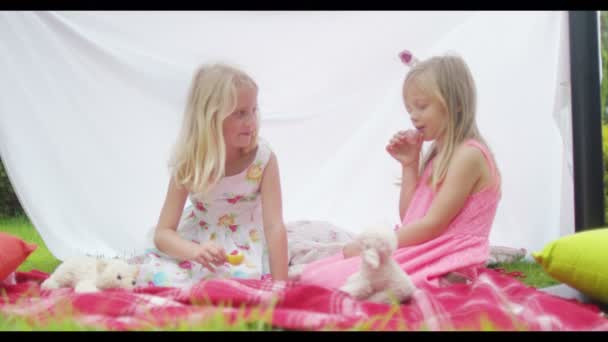 Meninas fazendo uma festa de chá com brinquedos — Vídeo de Stock