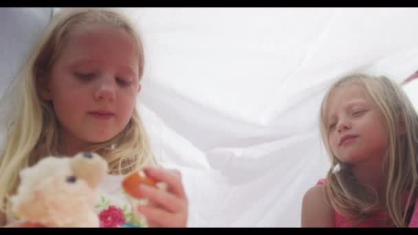 Meninas fazendo uma festa de chá com brinquedos — Vídeo de Stock