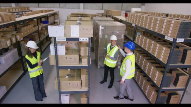 Workers preparing goods for dispatch — Stock Video