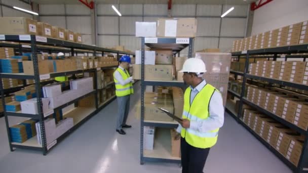 Werknemers goederen voorbereiden voor verzending — Stockvideo