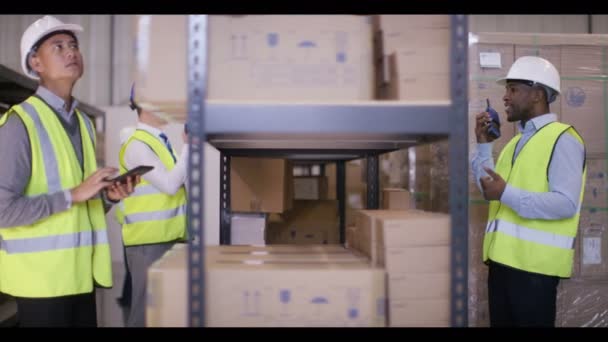 Pracownikom przygotowanie towaru do wysyłki — Wideo stockowe