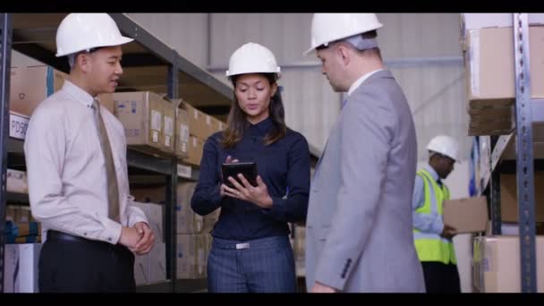 Equipe de gestão apertar as mãos em um negócio — Vídeo de Stock