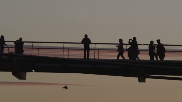 Tourists silhouetted against the sky — Stock Video