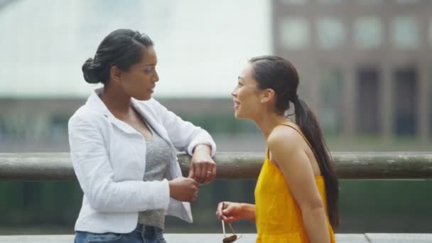 Female friends chatting outdoors — Stock Video