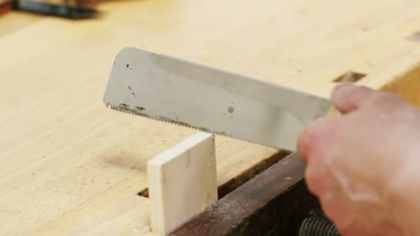 Mãos corte de madeira — Vídeo de Stock