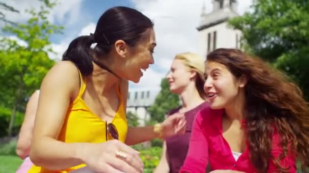 Female friends chatting in the park — Stock Video