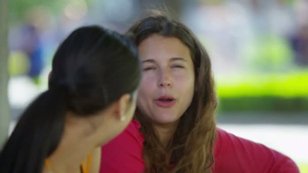 Жіночі друзі спілкуються на відкритому повітрі — стокове відео