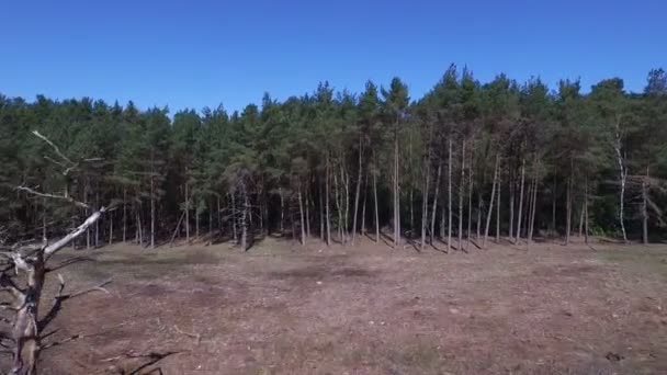 Поля в село Англійська — стокове відео