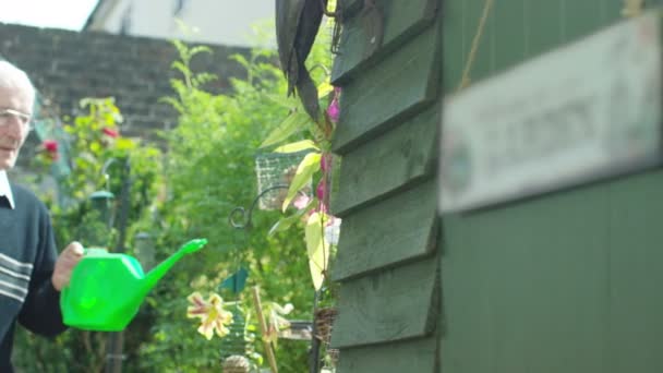 Homme âgé faisant du jardinage — Video