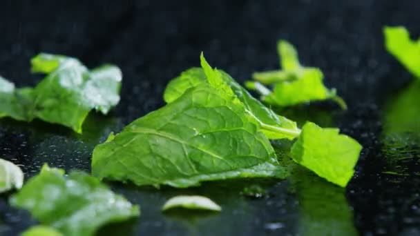 Feuilles de salade verte tombant — Video