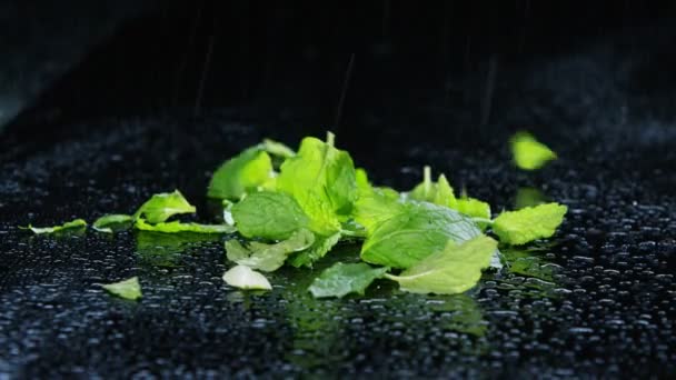 绿色沙拉的叶子飘落 — 图库视频影像