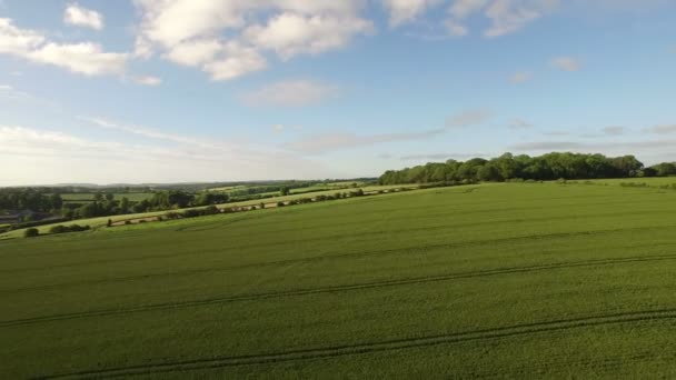 Campos na zona rural inglesa — Vídeo de Stock