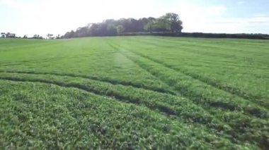 İngilizce kırsal alanlara