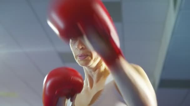 Boxeador en entrenamiento en el gimnasio — Vídeos de Stock