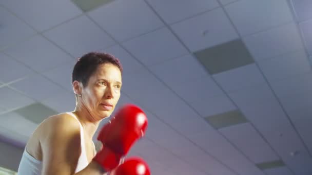 Boxeador em formação no ginásio — Vídeo de Stock