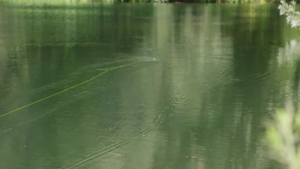 钓鱼线被铸造成水 — 图库视频影像
