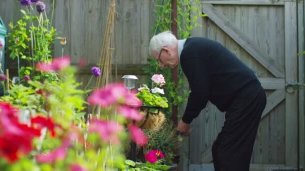 Äldre man gör några trädgårdsarbete — Stockvideo