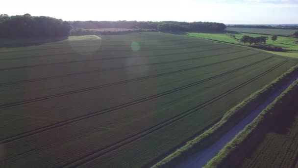 Fälten i den engelska landsbygden — Stockvideo
